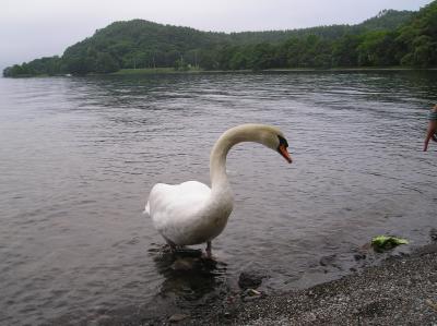 ５大要素の整った洞爺湖?