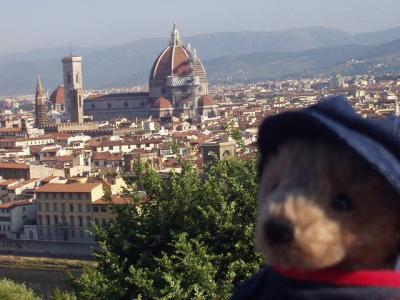 クマと旅する イタリア8日間