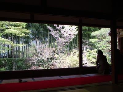 いつかCMで見た京都