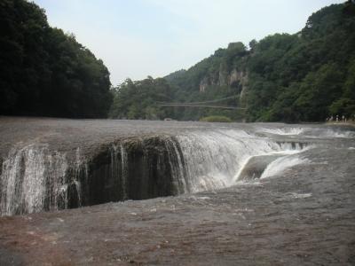 尾瀬岩鞍ゆり園＆吹割の滝 　【後半】吹割の滝