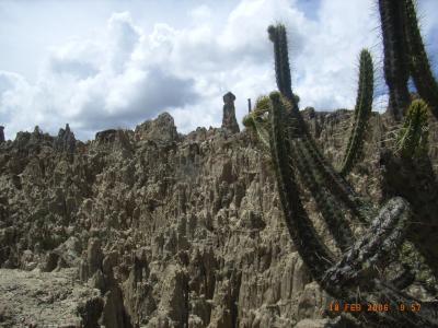 ☆Vol.11☆　地球の裏側から。　～11日目～ 　ラパス→ウユニ