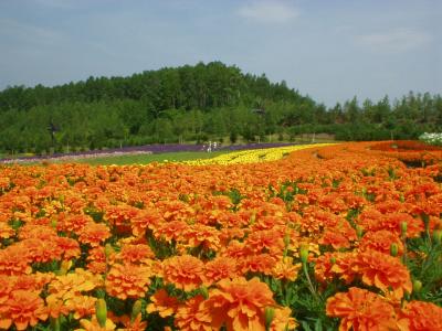 滝野すずらん丘陵公園
