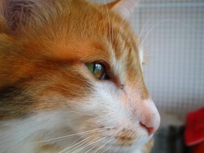 2006夏休み（伊豆高原）