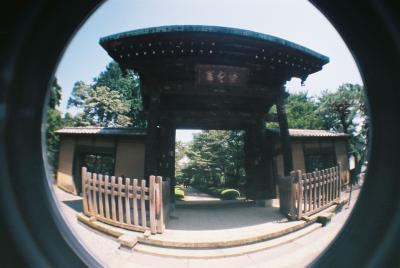 ぷらっと散歩　豪徳寺