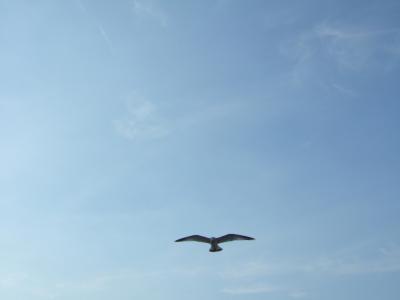 空は青 (フィンランド2006その1)