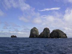 中米　コスタリカ　ココ島　クルーズ