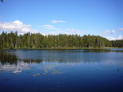 Kiitos♪フィンランド・ヘルシンキ！vol.3