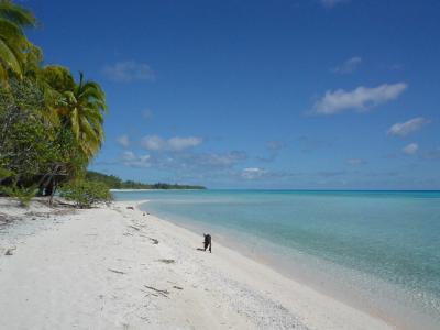 新婚旅行 in タヒチ（ランギロア）