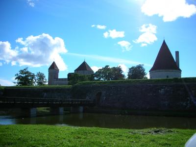 エストニア旅行?～サーレマー島～