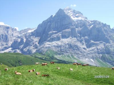 スイス~ドイツロマンチック街道の旅(1)