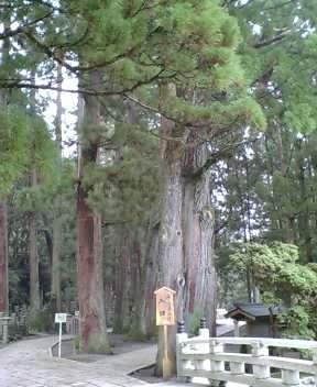 高野山奥の院と竜神温泉