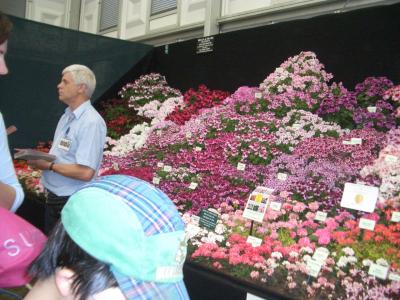 Chelsea Flower Show