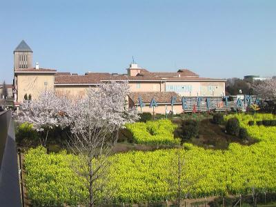 八王子市、南大沢の地元情報