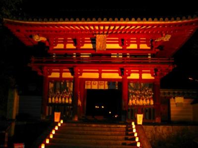 飛鳥～光の回廊～　in　2005