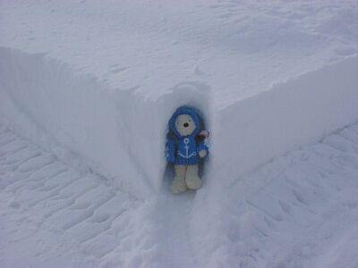 冬の北海道に行ってきたよ~!