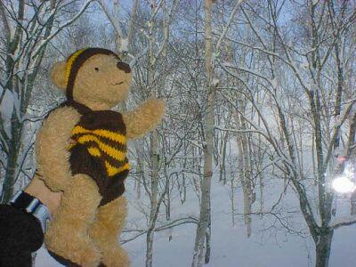 ニセコで滑ってきたよ~!