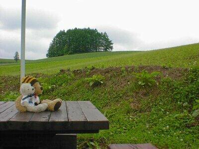 初夏の北海道に行ってきたよ~!