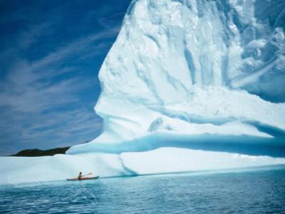 ニューファンドランド島最北端で、氷山＆鯨を見に！