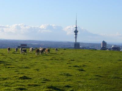 8月の北島旅行記