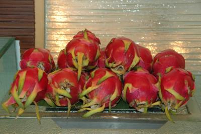 海外子連れ旅第9弾【?】:シャングリラバンコク とインターコンチネンタルに泊まる