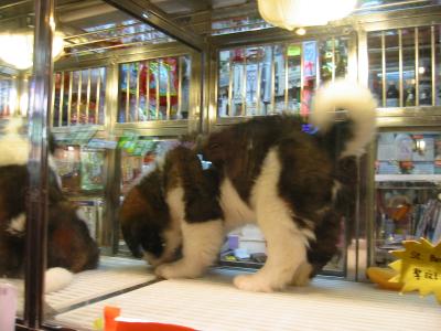 香港の色んな風景「えーーっ」て思ったり・・・