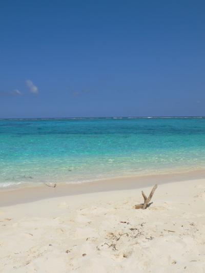 新社会人のちょっと休憩　ｉｎ　Ｓａｉｐａｎ　2006