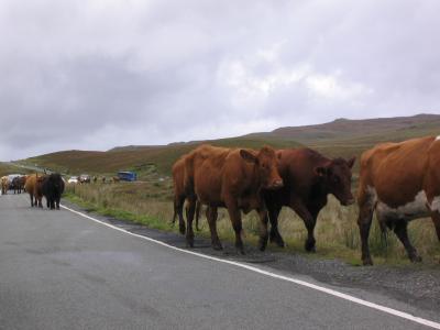 2004年 スコットランド(スカイ島編)