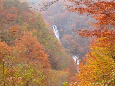 2004年 紅葉紀行(日光~霧降高原~鬼怒川)
