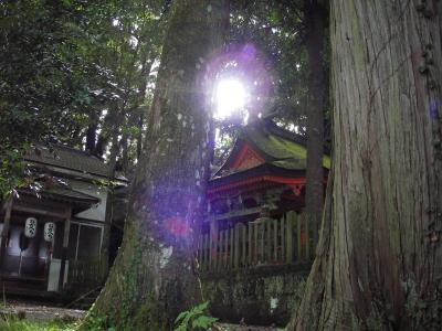 熊野の山奥で癒される