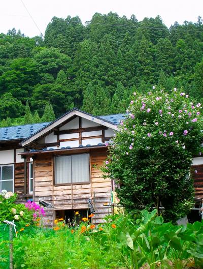 越後妻有アートトリエンナーレ２００６大地の芸術祭～（11）清田山・東川・上鰕池・松之山