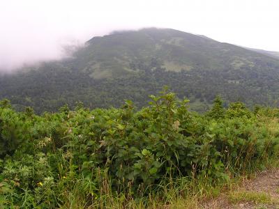 夢の利尻山、登山