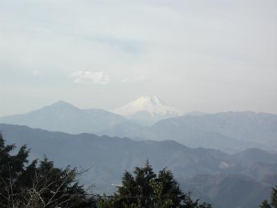 高尾山からの富士山