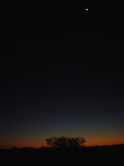 オーストラリア大陸一周旅行~西オーストラリア?~