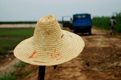 懐かしい景色 ~崇明島の旅