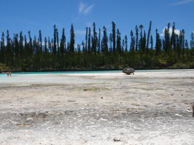 イル・デ・パン島での魂の洗濯
