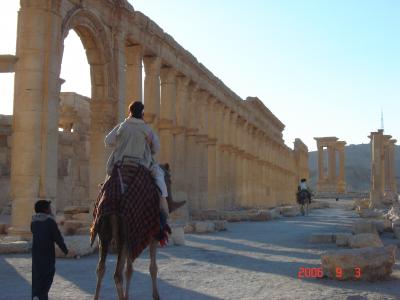 サハーラのパルミラ観光