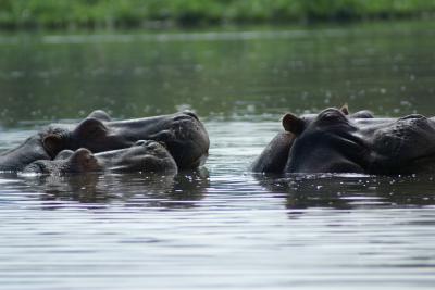 Lake Naivasha