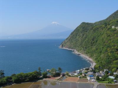 富士山を見ながら伊豆でキャンプ