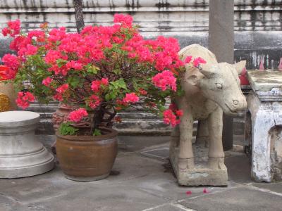 ワット・アルン(暁の寺)点描