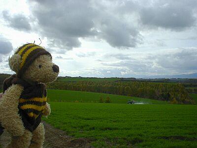 また秋の北海道に行ってきたよ~!