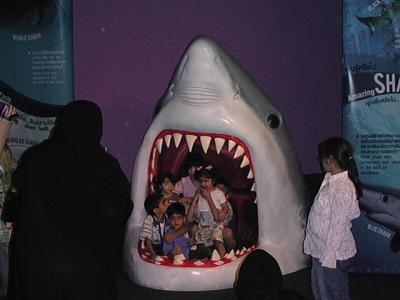 海外子連れ旅第9弾【?】:サイアムパラゴンの水族館に行ってみる