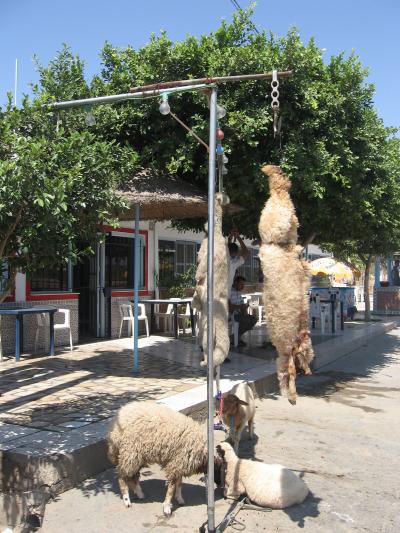 チュニジア探検 3・食事編