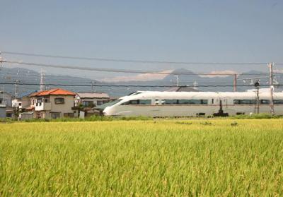 東京&神奈川ブラリ旅=小田急編=