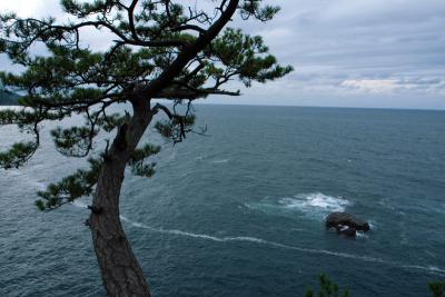 「津和野」～「青海島」　2/2