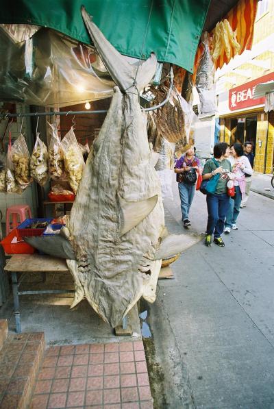 03. 大嶼島は大澳です。