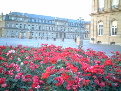 2006年9月　ドイツ・スイスの旅　?シュトゥットガルト～美しい緑とベンツの街～