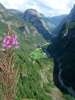 デンマーク･ノルウェー　ドライブ旅行