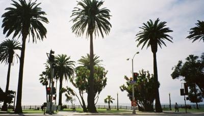 りんと＠L.A./ロサンゼルス
