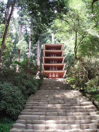 室生寺長谷寺へ大人の修学旅行