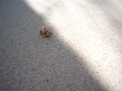 初コタ・キナバルは一人旅【離島編】